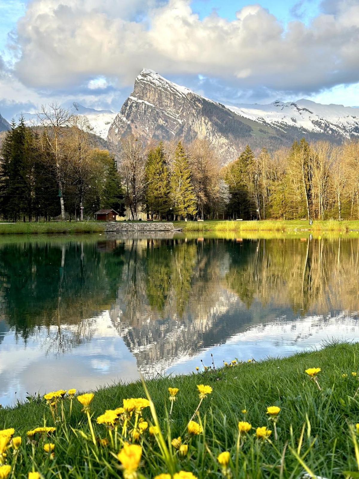 Bungalow 3 Chambres Pour 6 Pers Avec Climatisation Camping 3 Etoiles Samoens Exterior photo